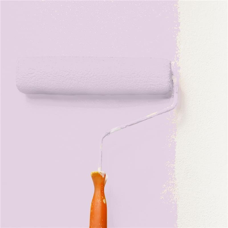 Wandfarbe Matt NCS-S-1015-R40B Profi Qualität für Innen