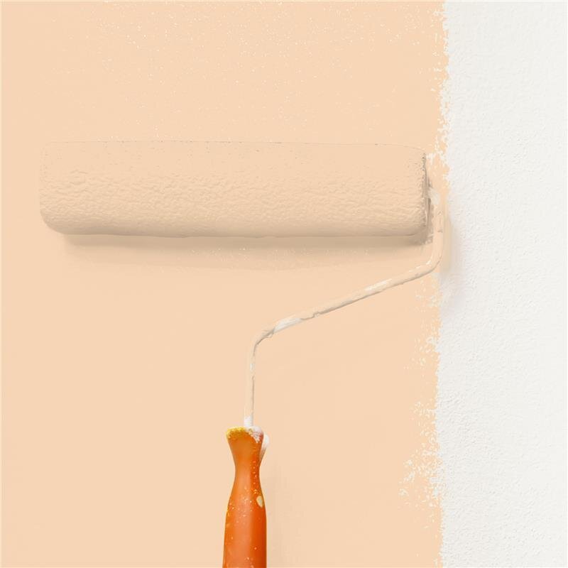 Wandfarbe Matt NCS-S-1015-Y40R Profi Qualität für Innen