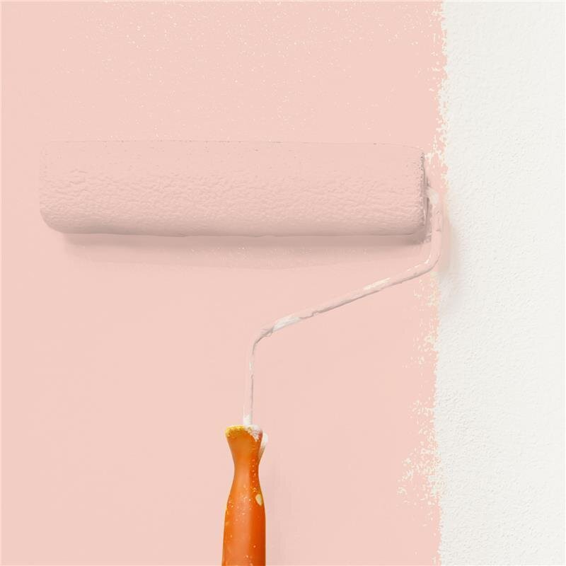 Wandfarbe Matt NCS-S-1015-Y80R Profi Qualität für Innen