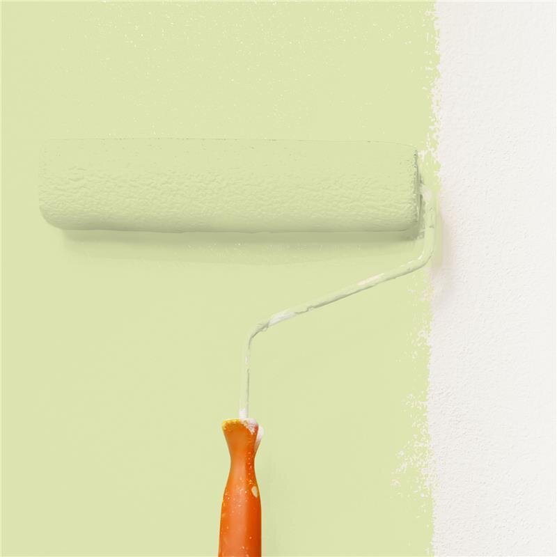 Wandfarbe Matt NCS-S-1020-G60Y Profi Qualität für Innen