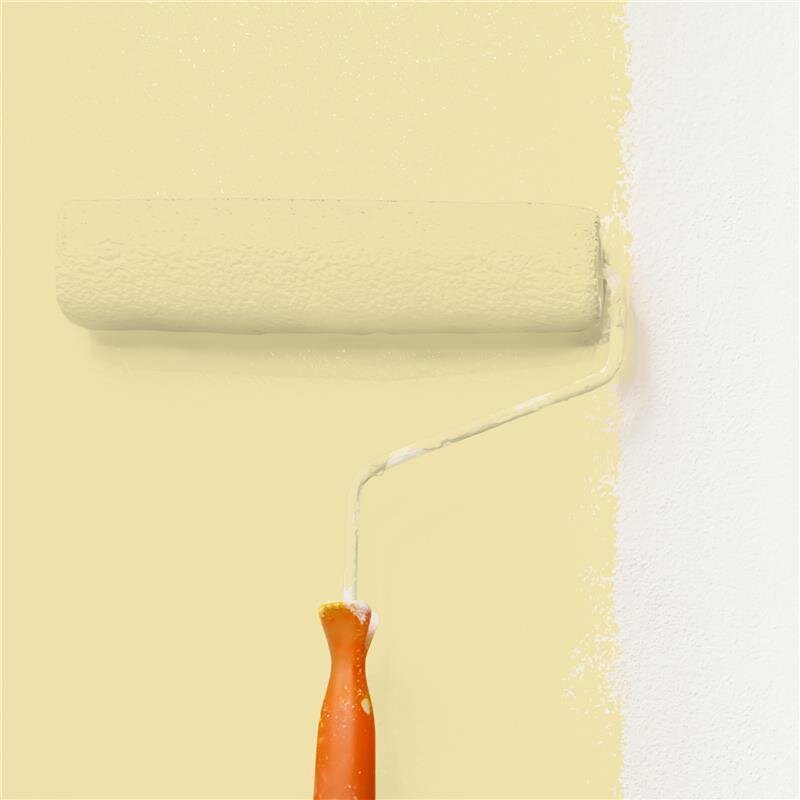 Wandfarbe Matt NCS-S-1020-Y Profi Qualität für Innen