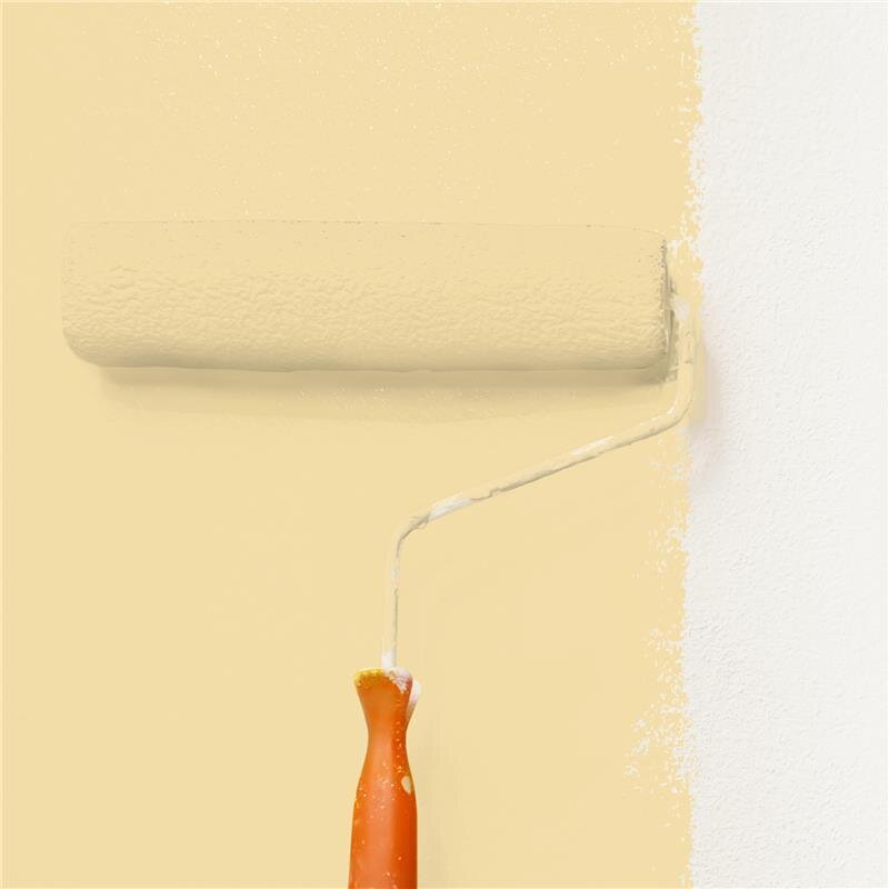 Wandfarbe Matt NCS-S-1020-Y10R Profi Qualität für Innen