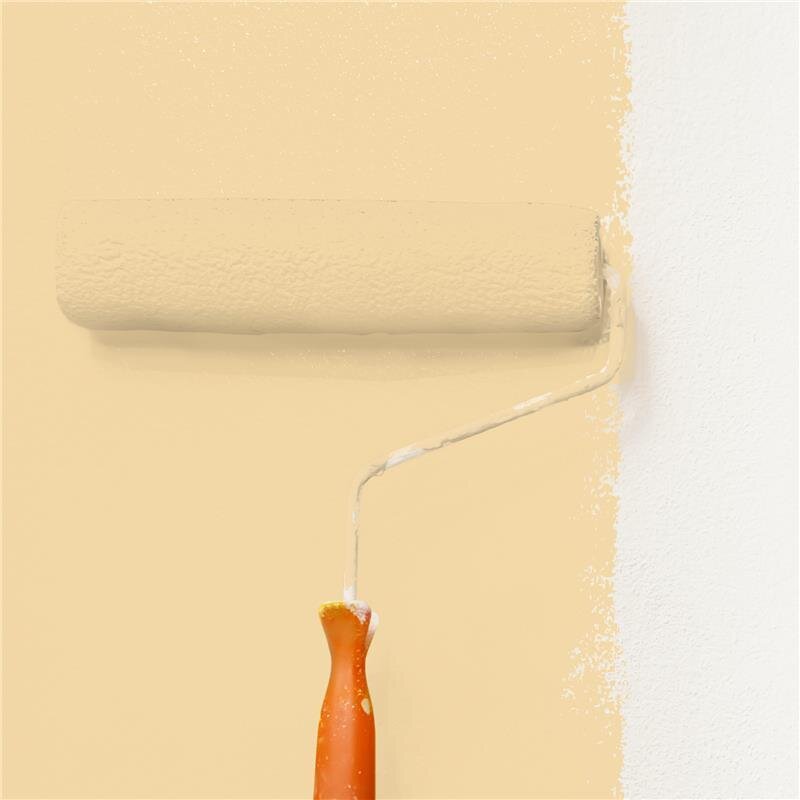 Wandfarbe Matt NCS-S-1020-Y20R Profi Qualität für Innen