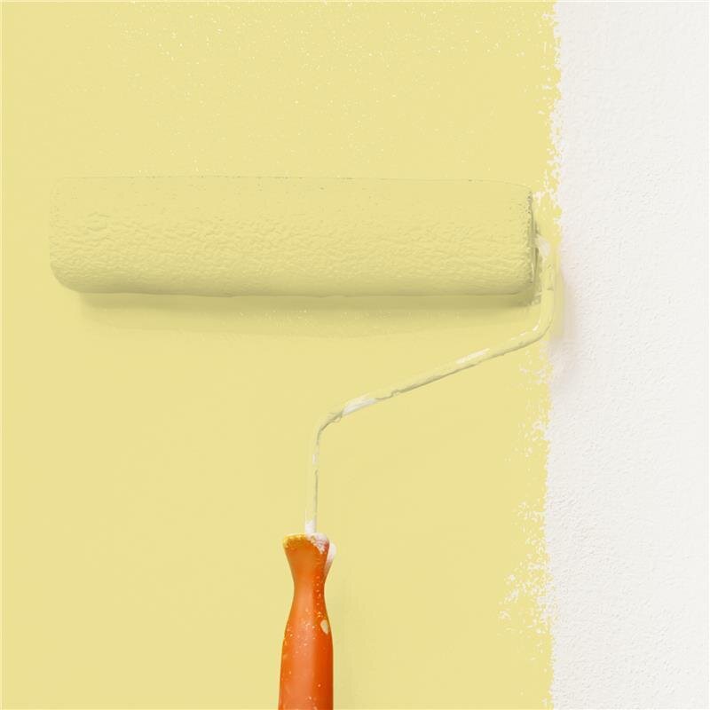 Wandfarbe Matt NCS-S-1030-G90Y Profi Qualität für Innen