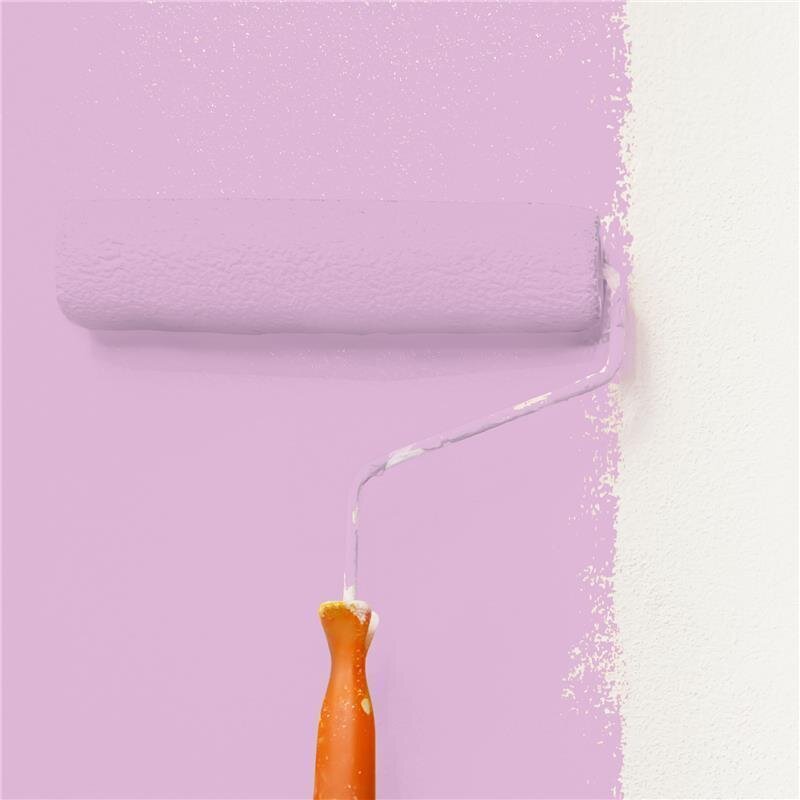 Wandfarbe Matt NCS-S-1030-R40B Profi Qualität für Innen