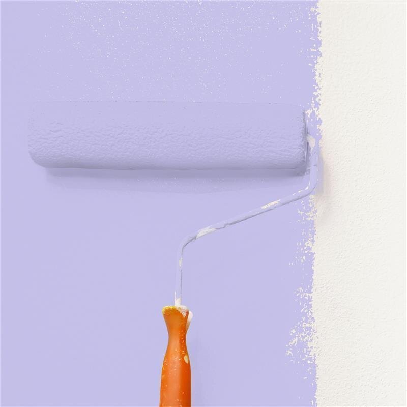 Wandfarbe Matt NCS-S-1030-R60B Profi Qualität für Innen