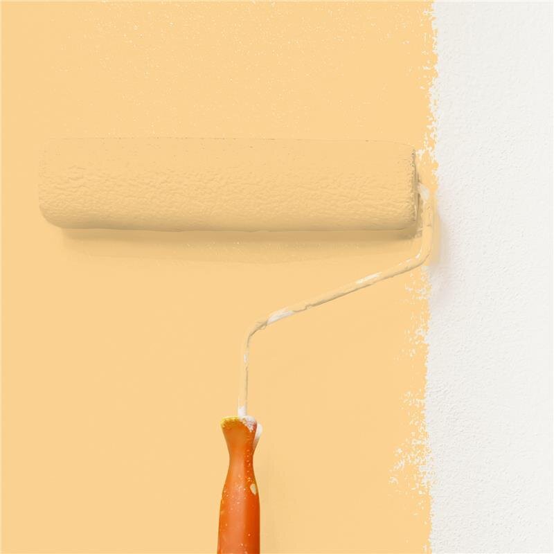 Wandfarbe Matt NCS-S-1030-Y20R Profi Qualität für Innen