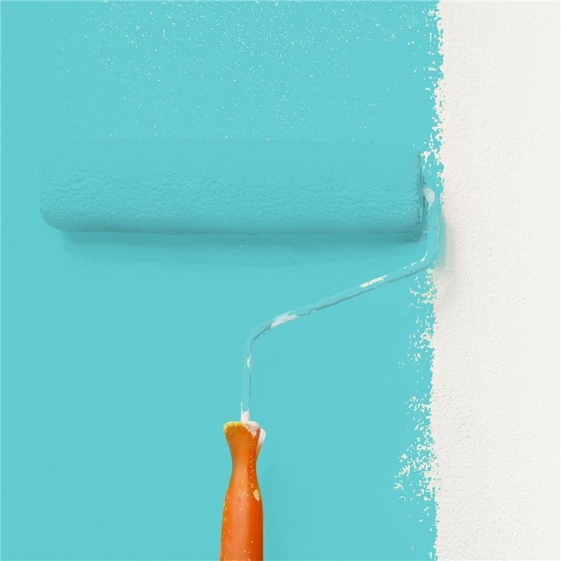 Wandfarbe Matt NCS-S-1040-B40G Profi Qualität für Innen