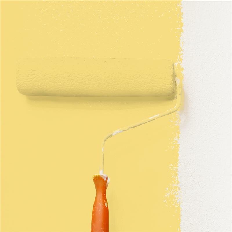 Wandfarbe Matt NCS-S-1040-Y Profi Qualität für Innen