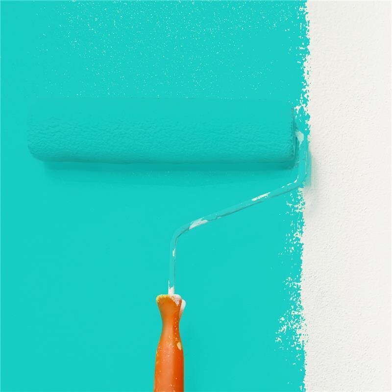 Wandfarbe Matt NCS-S-1050-B60G Profi Qualität für Innen