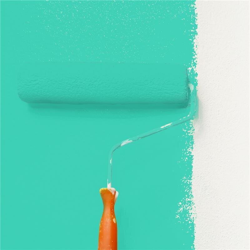 Wandfarbe Matt NCS-S-1050-B80G Profi Qualität für Innen