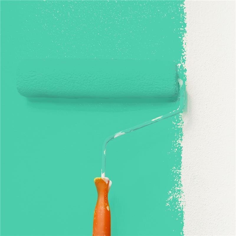 Wandfarbe Matt NCS-S-1050-B90G Profi Qualität für Innen