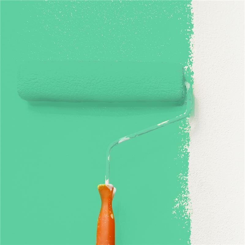 Wandfarbe Matt NCS-S-1050-G Profi Qualität für Innen