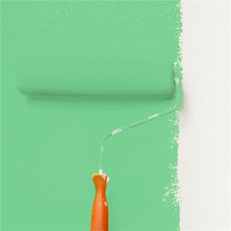 Wandfarbe Matt NCS-S-1050-G10Y Profi Qualität für Innen