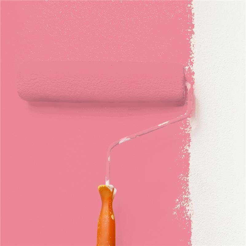 Wandfarbe Matt NCS-S-1050-R10B Profi Qualität für Innen