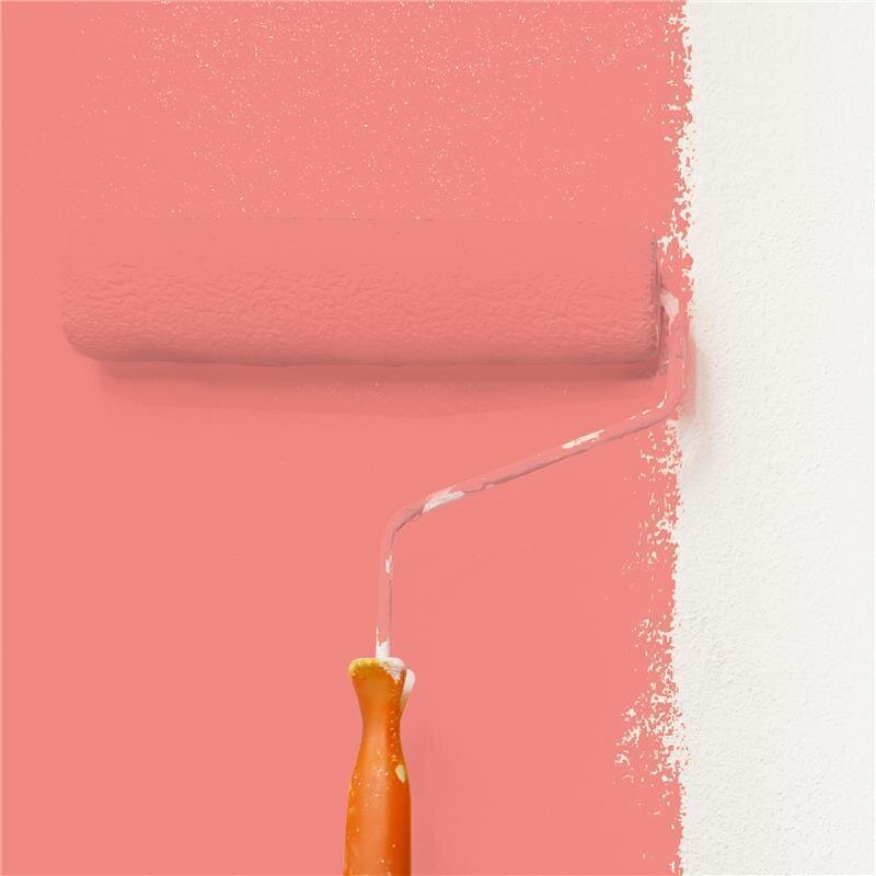 Wandfarbe Matt NCS-S-1050-Y90R Profi Qualität für Innen