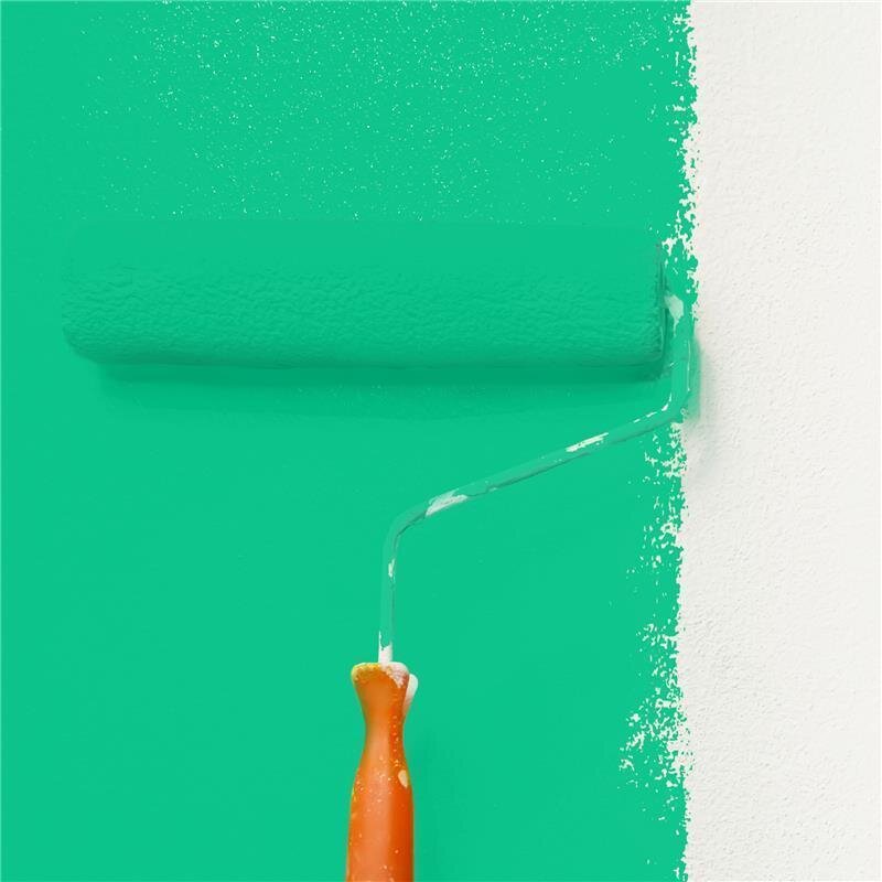 Wandfarbe Matt NCS-S-1060-G Profi Qualität für Innen