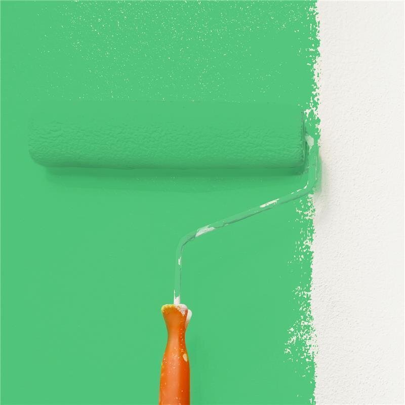 Wandfarbe Matt NCS-S-1060-G10Y Profi Qualität für Innen