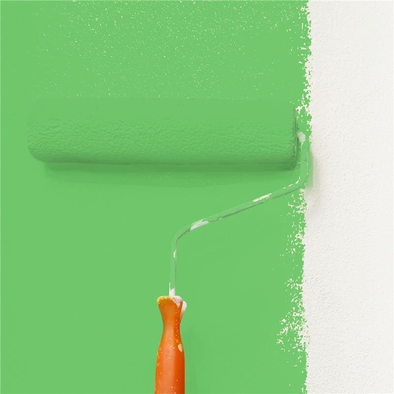 Wandfarbe Matt NCS-S-1060-G20Y Profi Qualität für Innen