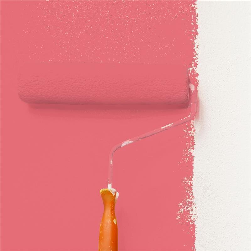 Wandfarbe Matt NCS-S-1060-R Profi Qualität für Innen