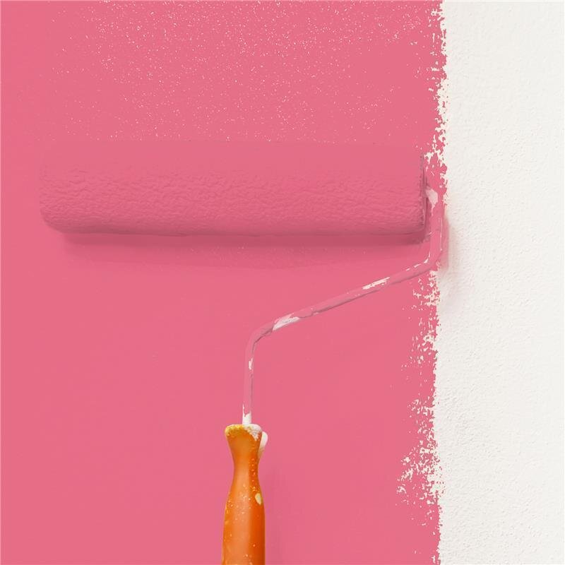 Wandfarbe Matt NCS-S-1060-R10B Profi Qualität für Innen