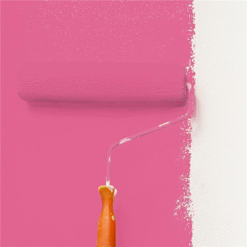 Wandfarbe Matt NCS-S-1060-R20B Profi Qualität für Innen