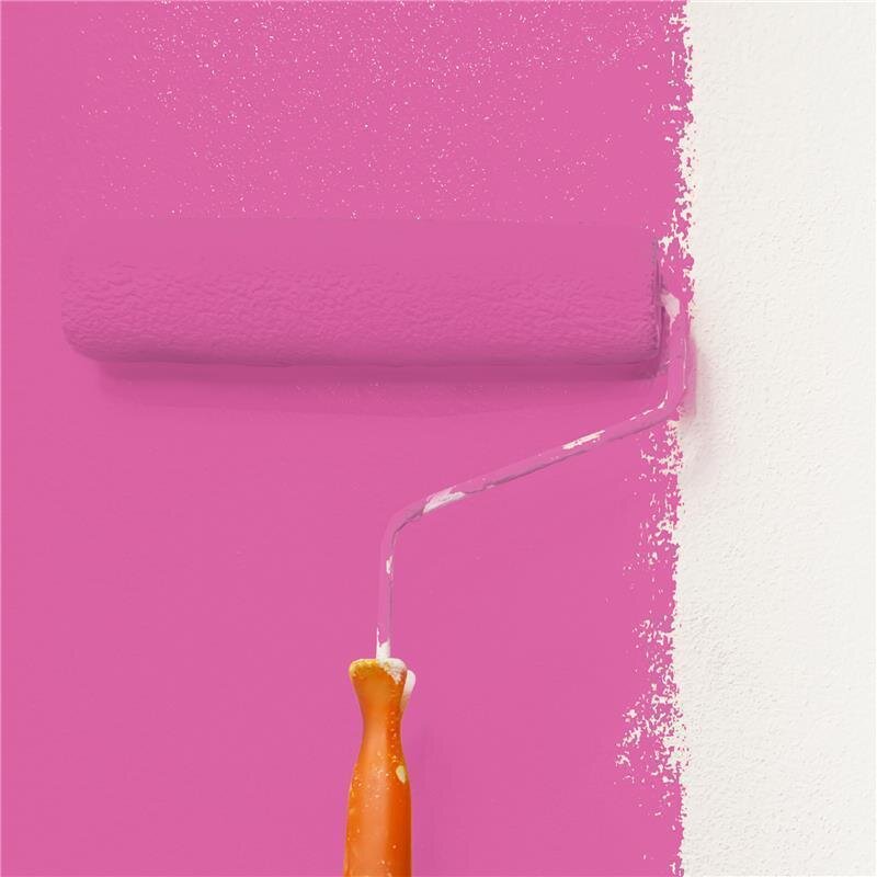 Wandfarbe Matt NCS-S-1060-R30B Profi Qualität für Innen