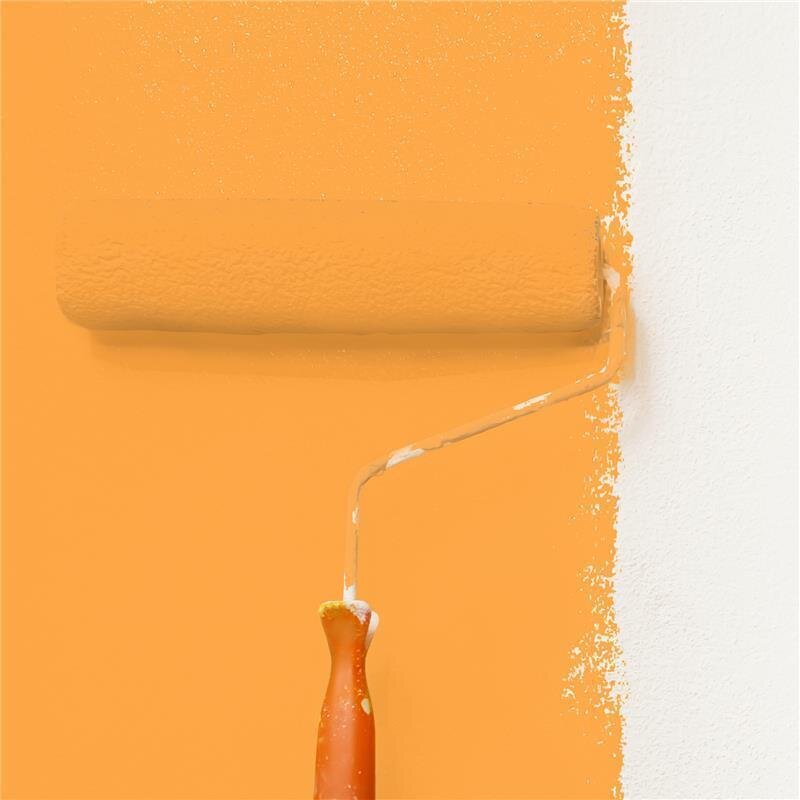 Wandfarbe Matt NCS-S-1060-Y30R Profi Qualität für Innen