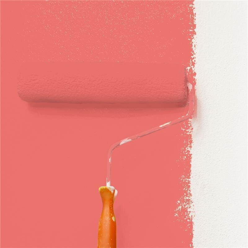 Wandfarbe Matt NCS-S-1060-Y90R Profi Qualität für Innen