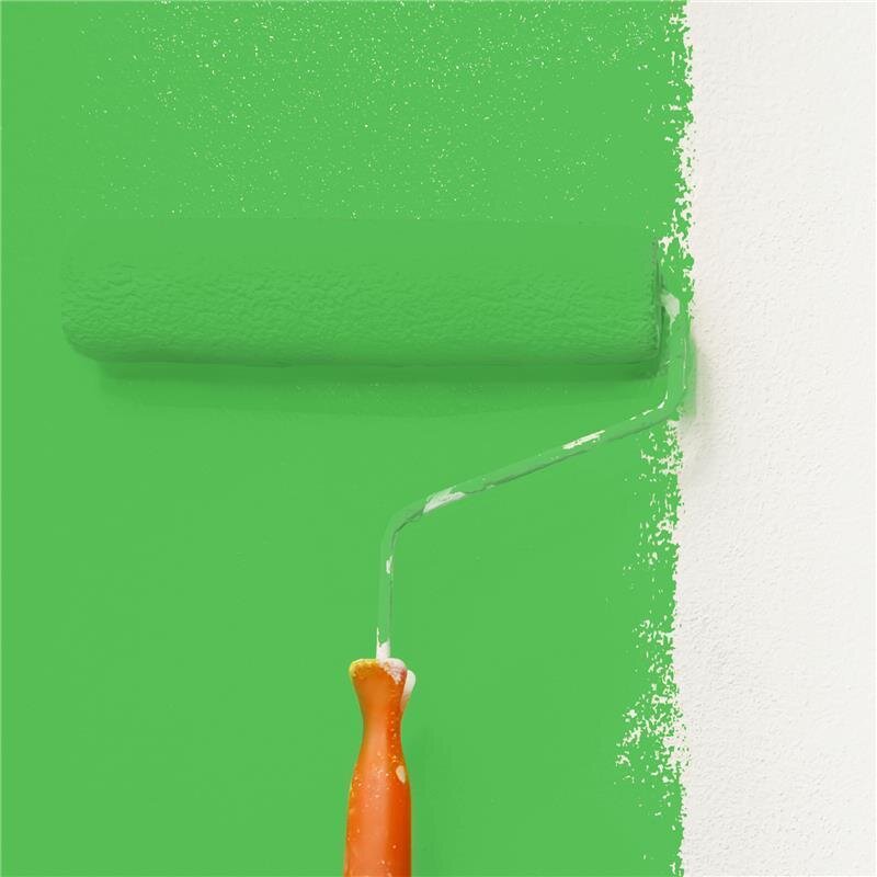 Wandfarbe Matt NCS-S-1070-G20Y Profi Qualität für Innen