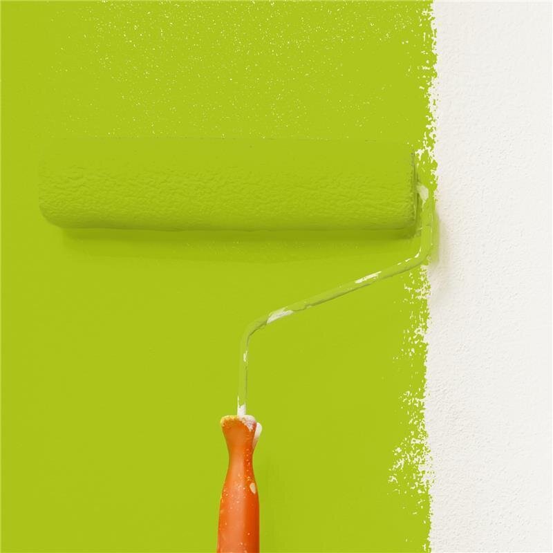 Wandfarbe Matt NCS-S-1070-G50Y Profi Qualität für Innen