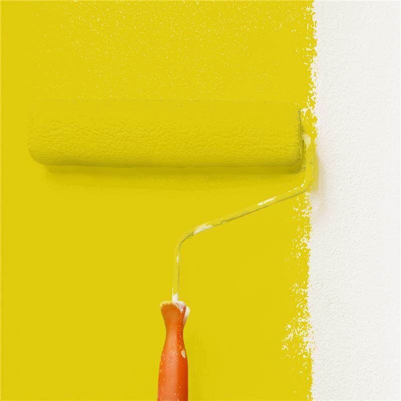 Wandfarbe Matt NCS-S-1070-G90Y Profi Qualität für Innen