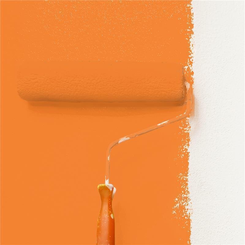 Wandfarbe Matt NCS-S-1070-Y50R Profi Qualität für Innen
