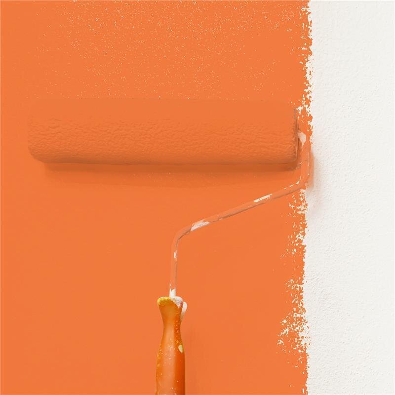 Wandfarbe Matt NCS-S-1070-Y60R Profi Qualität für Innen