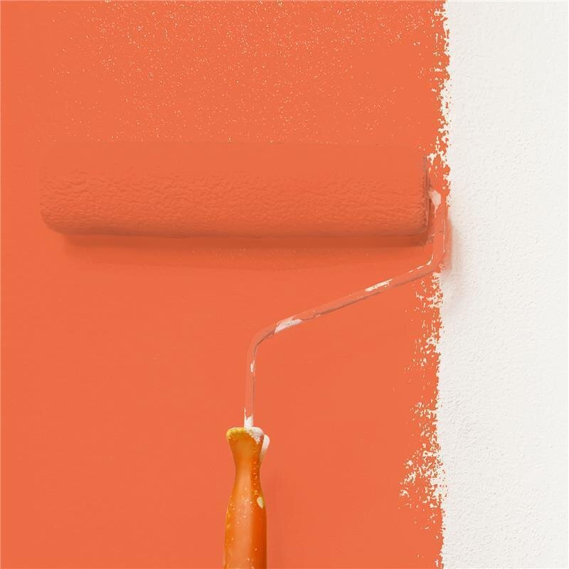 Wandfarbe Matt NCS-S-1070-Y70R Profi Qualität für Innen