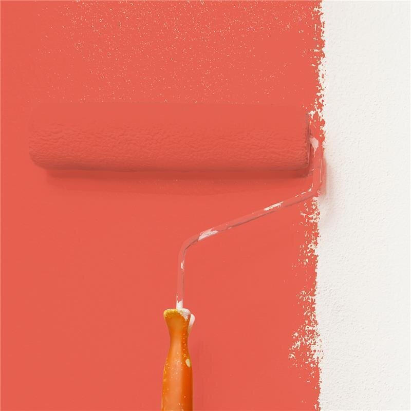 Wandfarbe Matt NCS-S-1070-Y80R Profi Qualität für Innen