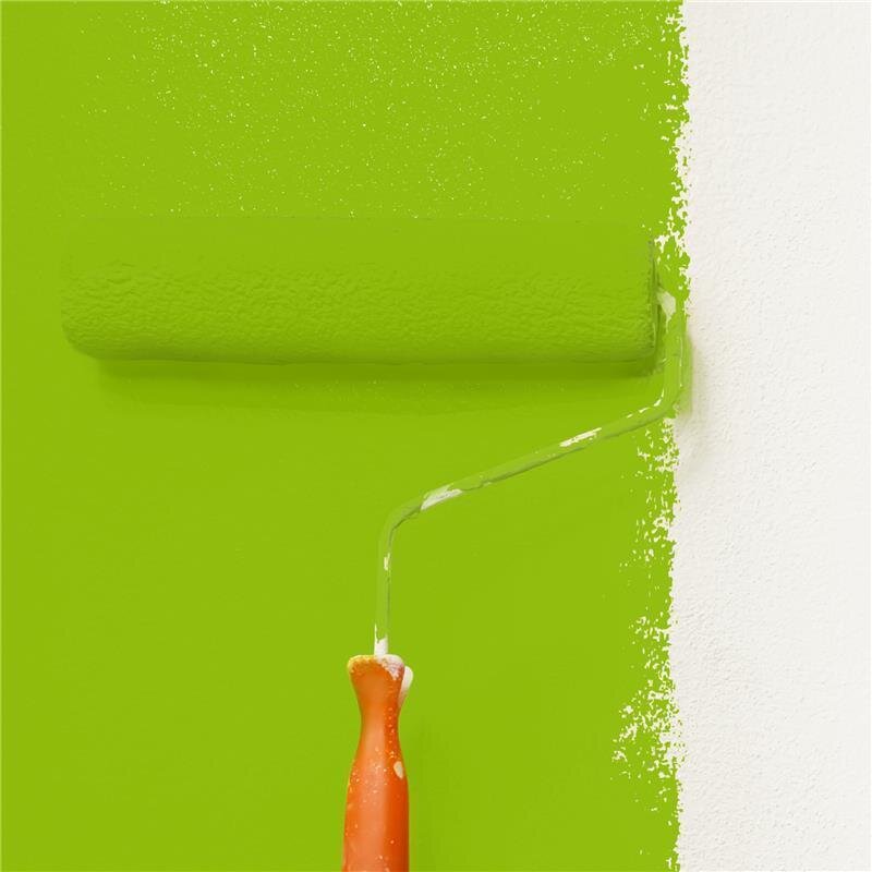 Wandfarbe Matt NCS-S-1075-G40Y Profi Qualität für Innen