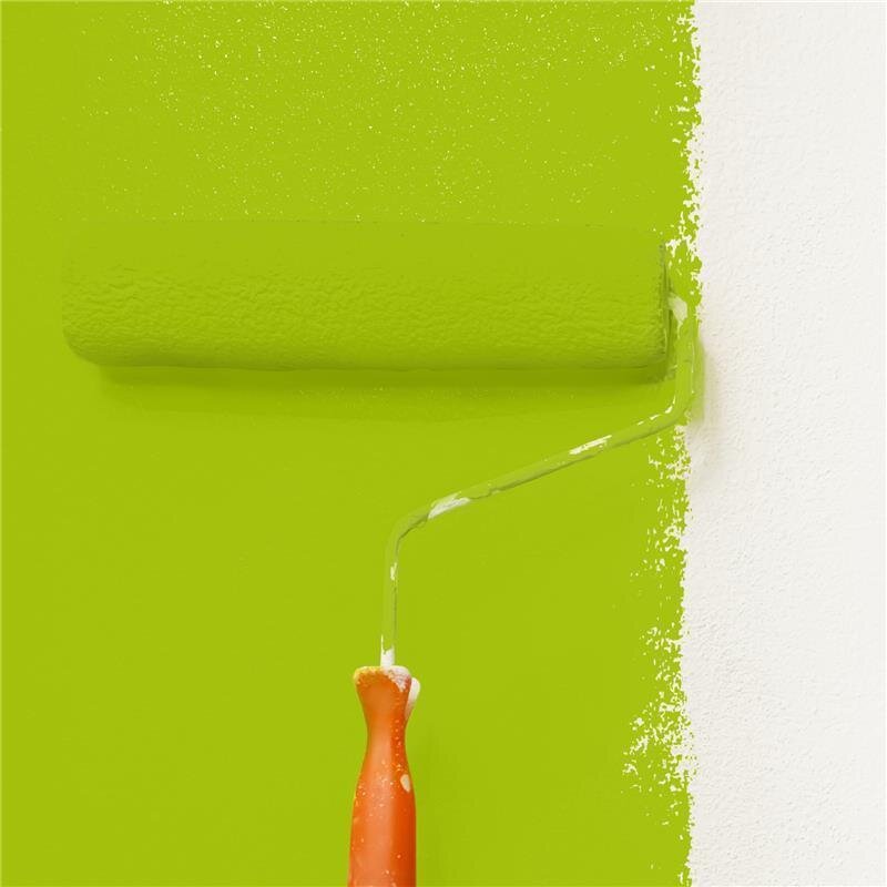 Wandfarbe Matt NCS-S-1075-G50Y Profi Qualität für Innen