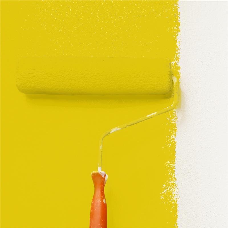 Wandfarbe Matt NCS-S-1075-G90Y Profi Qualität für Innen