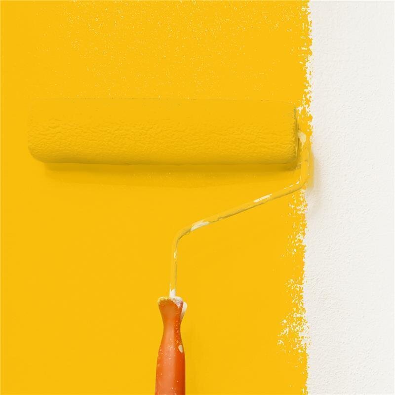 Wandfarbe Matt NCS-S-1080-Y10R Profi Qualität für Innen