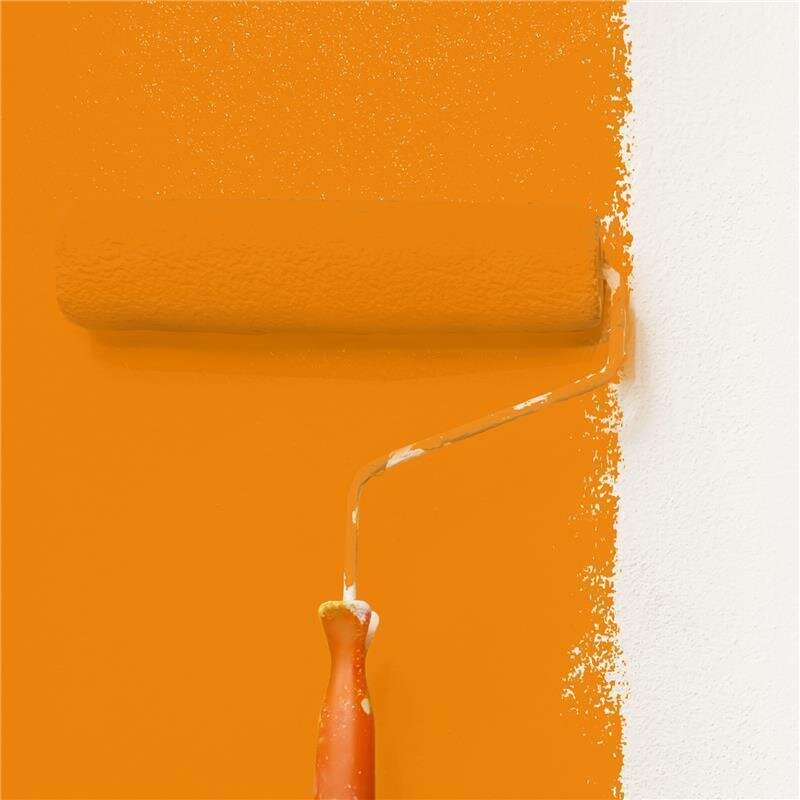 Wandfarbe Matt NCS-S-1080-Y40R Profi Qualität für Innen