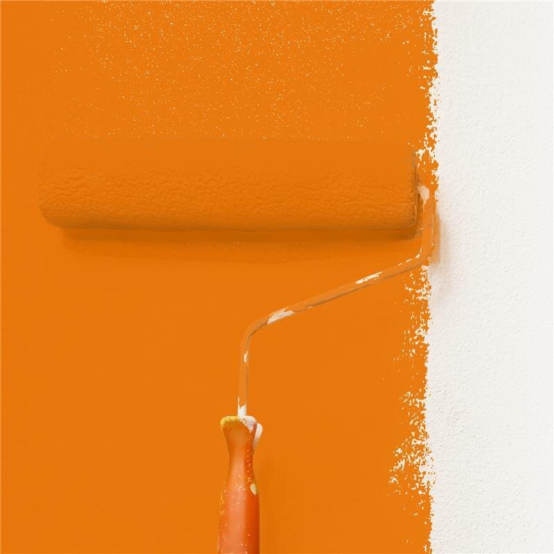 Wandfarbe Matt NCS-S-1080-Y50R Profi Qualität für Innen