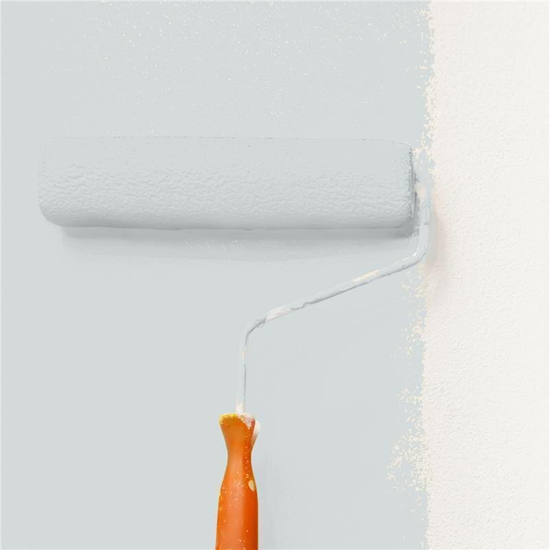 Wandfarbe Matt NCS-S-1502-B50G Profi Qualität für Innen