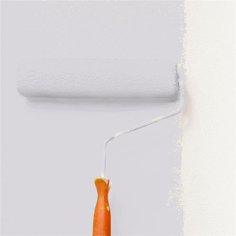 Wandfarbe Matt NCS-S-1502-R50B Profi Qualität für Innen