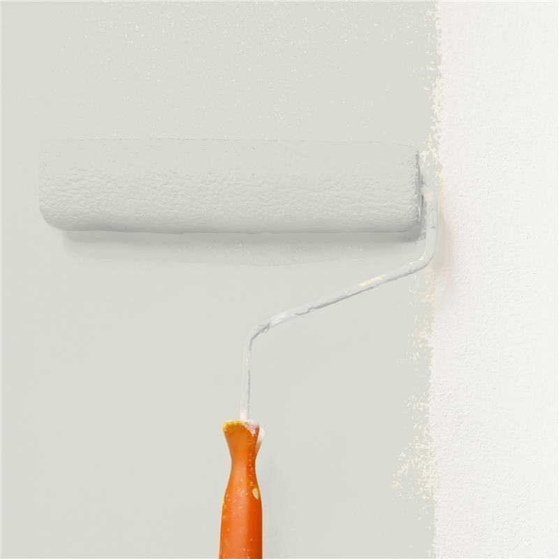 Wandfarbe Matt NCS-S-1502-Y Profi Qualität für Innen