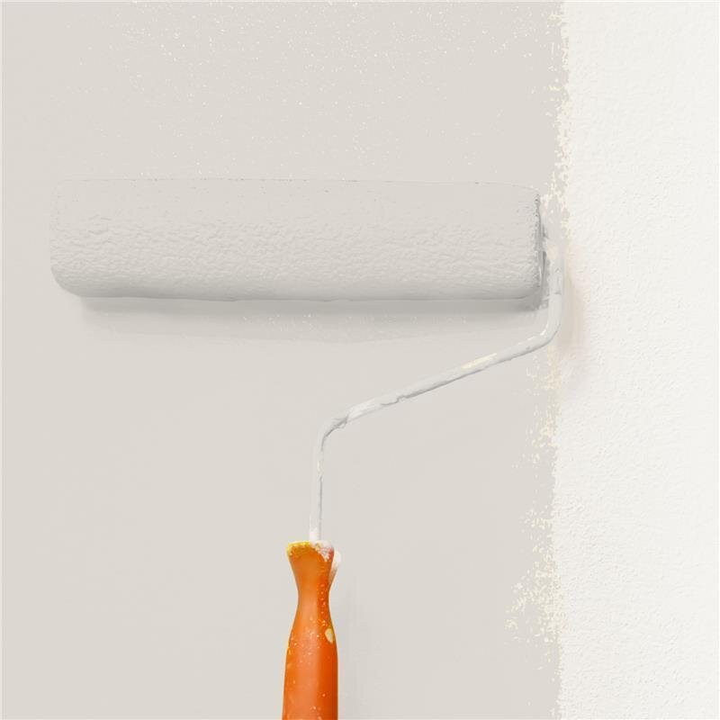 Wandfarbe Matt NCS-S-1502-Y50R Profi Qualität für Innen