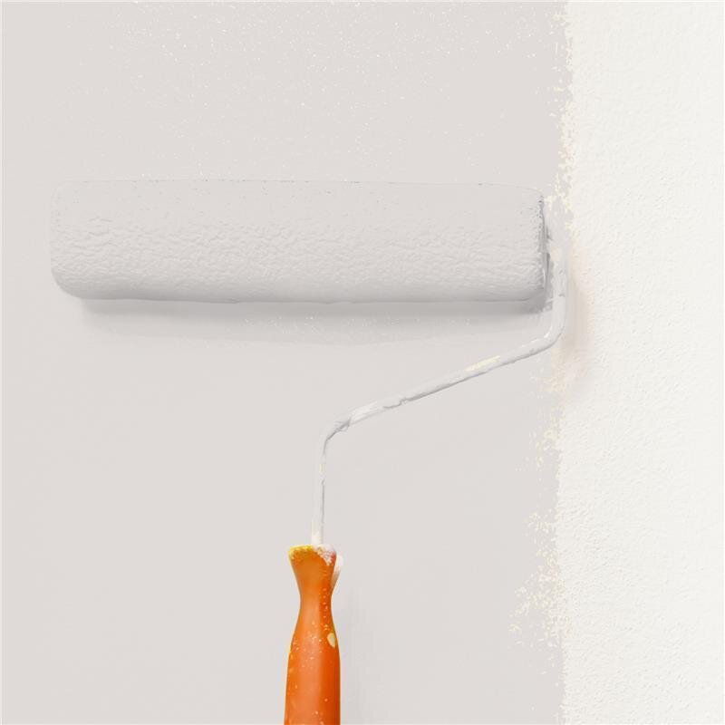 Wandfarbe Matt NCS-S-1502-Y80R Profi Qualität für Innen