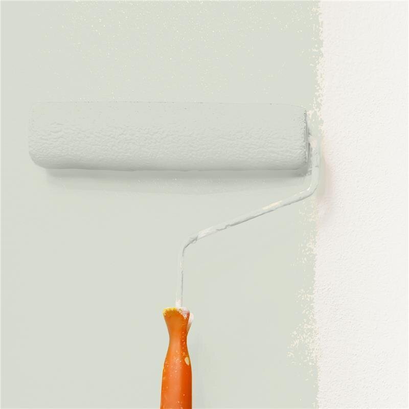 Wandfarbe Matt NCS-S-1505-G50Y Profi Qualität für Innen