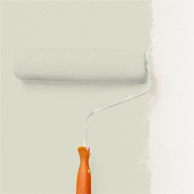 Wandfarbe Matt NCS-S-1505-G80Y Profi Qualität für Innen