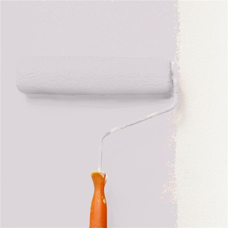 Wandfarbe Matt NCS-S-1505-R30B Profi Qualität für Innen